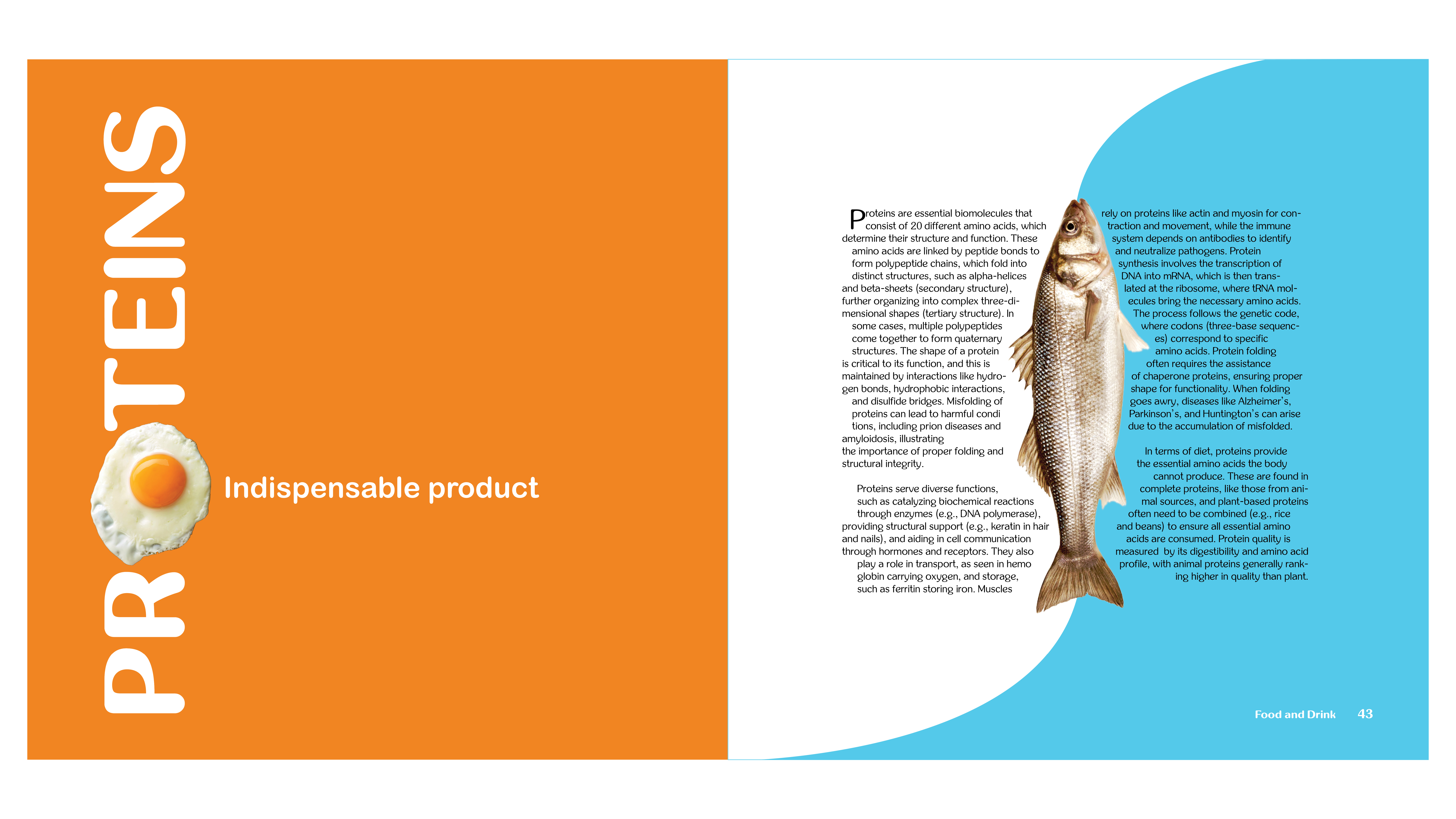 Magazine Protein Guide 2